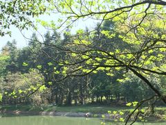 -象山森林公园