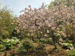 -江南大学(蠡湖校区)