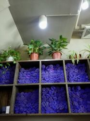android_upload_pic-红馆·发喆院