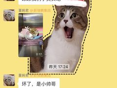 -美联众合动物医院·24h转诊中心