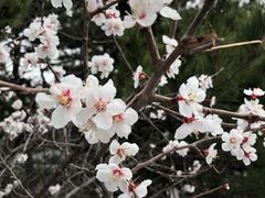 -八达岭长城