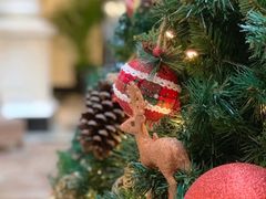 -Salon de Ville浦江汇(上海外滩华尔道夫酒店店)