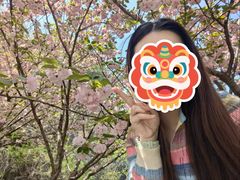 -幕燕滨江·长江观音景区