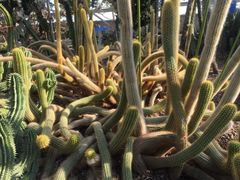 -南山植物园