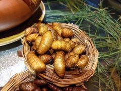 -昆虫窝子·特色云南菜(拓东路总店)