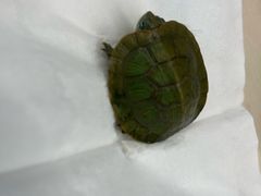 -西安软件新城软件研发基地2期