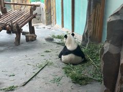 -青藏高原野生动物园