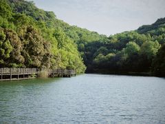 -白马涧龙池景区