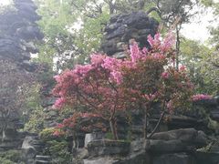 -南山植物园