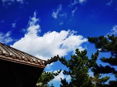 -棒棰岛宾馆景区