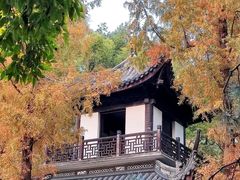 -汇龙潭