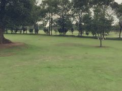 -艾溪湖湿地公园