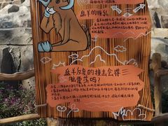 -武汉动物园