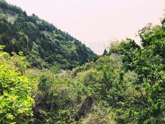 -府君山公园