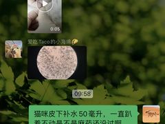 -康成宠物医院24H·CT·核磁共振
