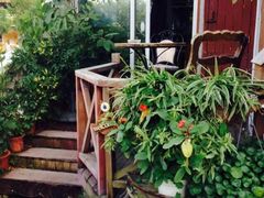 娜娜度假小旅馆-娜娜度假小旅馆