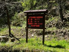-牛背梁国家森林公园