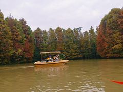 -上海海湾国家森林公园