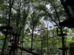 -WeLope紫金山探险公园