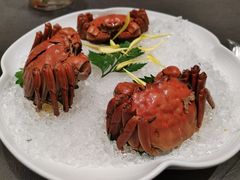 枸杞菊花熟醉蟹-蟹榭·本帮江浙菜·蟹宴(大宁久光商场店)