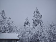 -峨眉山风景名胜区