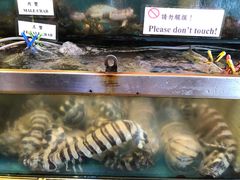 -南丫岛