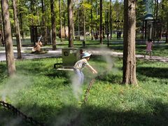 -黄海国家森林公园