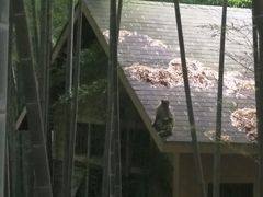 -苏州环秀晓筑养生度假村