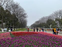 -玄武湖景区-情侣园游乐场