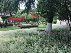 -南京中国近代史遗址博物馆(南京总统府)