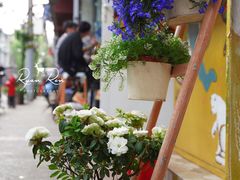 -茶是一枝花泡茶店
