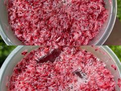 -奈雪的茶(正弘城PRO+店)