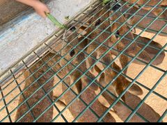 -泉州海丝野生动物世界