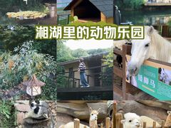 -杭州开元森泊度假乐园