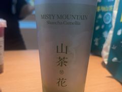 -雾与山茶(大禹城店)