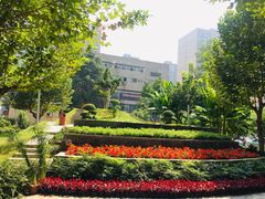 -西北大学(桃园校区)