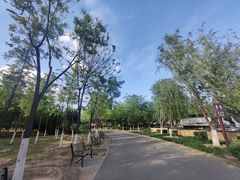 -永定河休闲森林公园