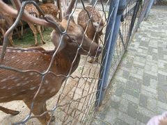 -长白岛森林公园