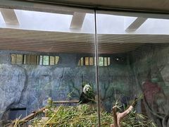 -深圳野生动物园