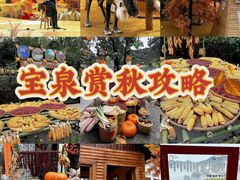 -河南宝泉旅游区