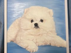 -Refn油画丨零基础定制油画