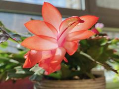 -老牌坊鲁菜名店(聊城美食岛店)