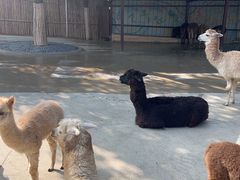 -杭州野生动物世界