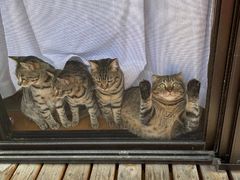 -笑笑面家(白兰路店)