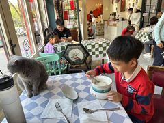 -猫小院猫主题餐厅(南锣旗舰店)