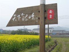 -天下银坑