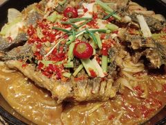 -老板恋上鱼(恒隆广场店)