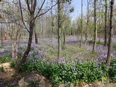 -羊亭河湿地公园