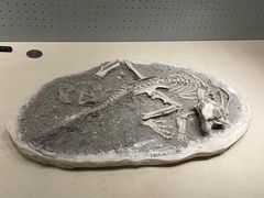-辽宁古生物博物馆