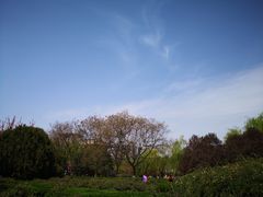 -西安青龙寺遗址景区